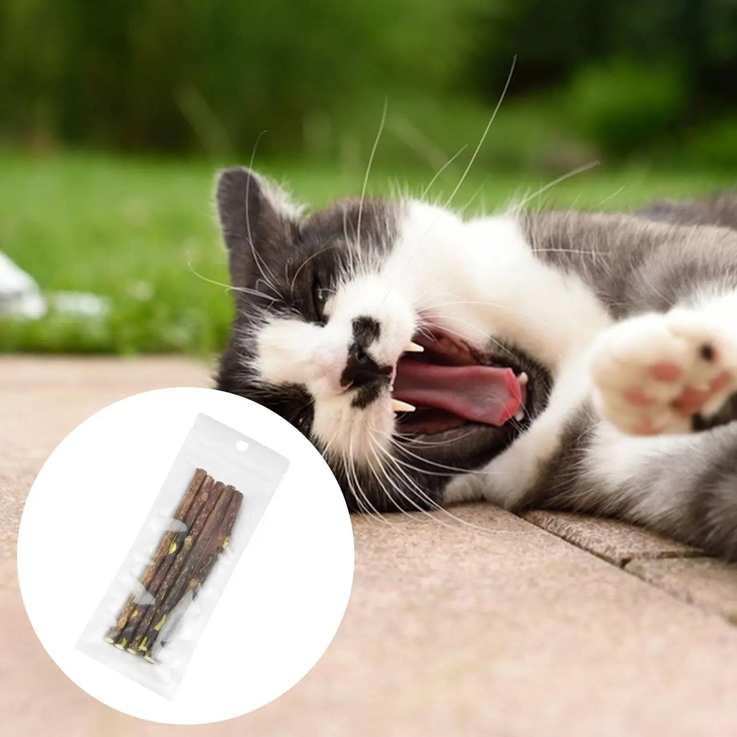 Natural Catnip Sticks - Silvervine Matatabi Dental Toy