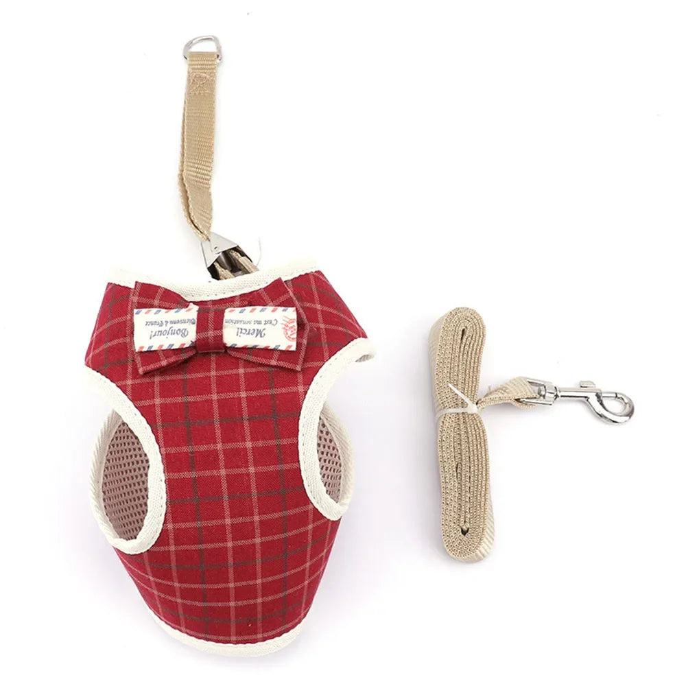 Cute Mesh Harness and Leash Set - Bowknot Design