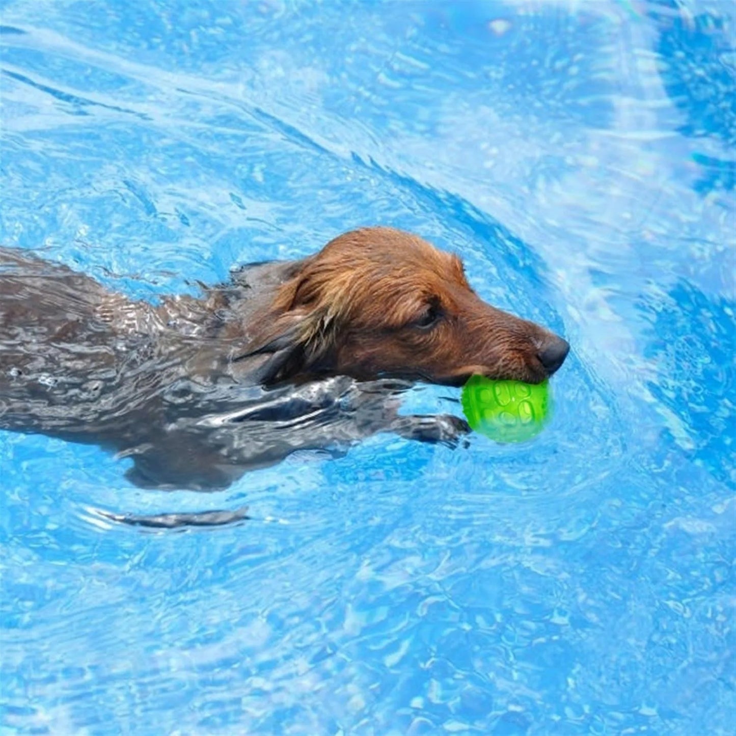 Waterproof Squeak Ball - Bite Resistant Chew Toy