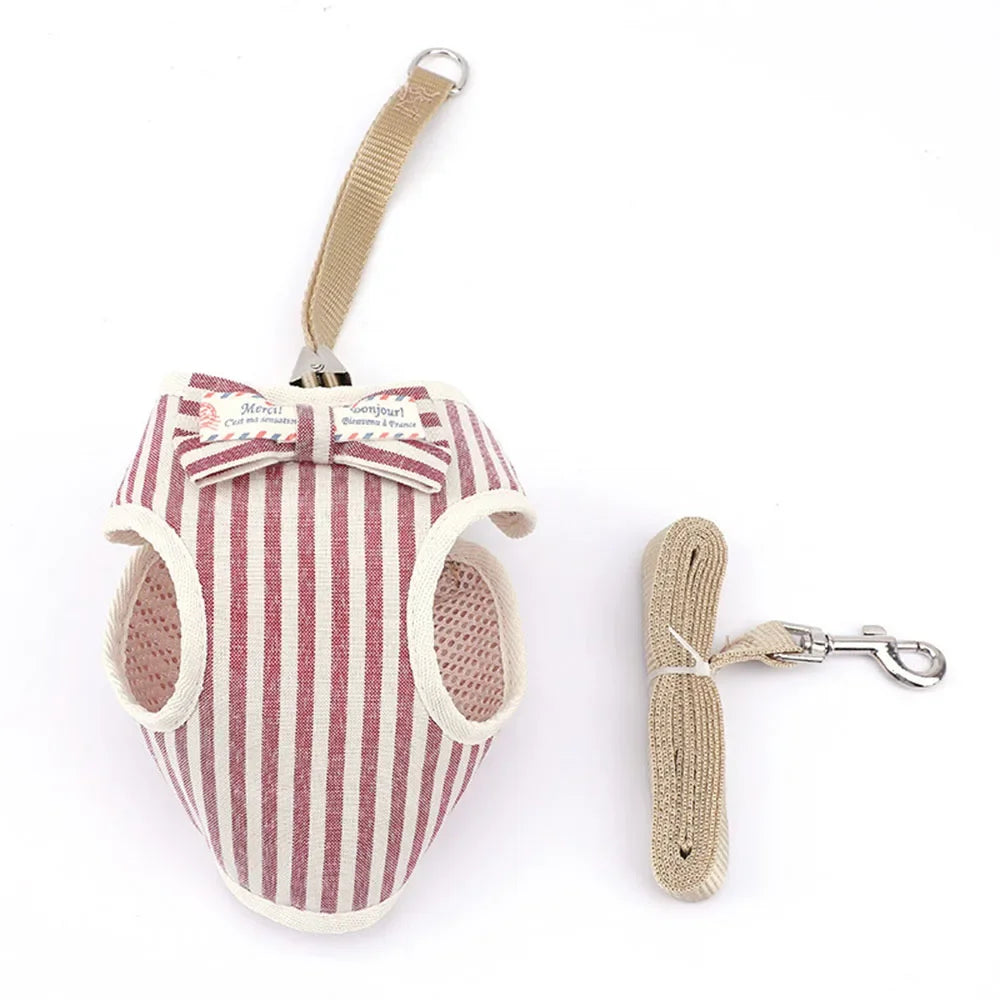 Cute Mesh Harness and Leash Set - Bowknot Design