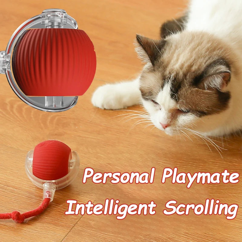 Interactive Rolling Ball - Rechargeable Mouse Tail Toy