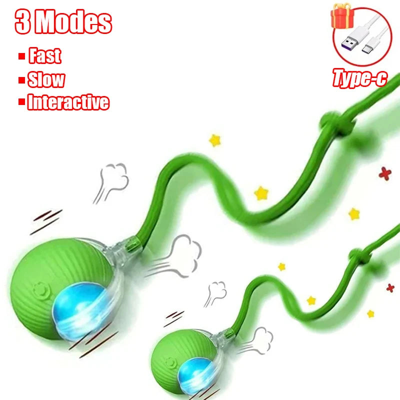 Interactive Rolling Ball - Rechargeable Mouse Tail Toy