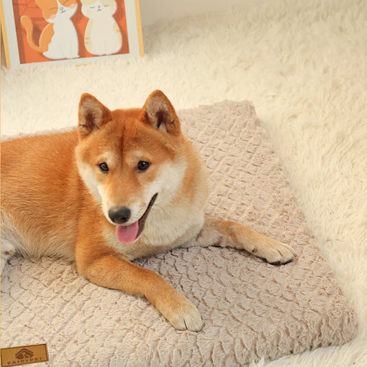 Orthopedic Dog Bed - 3D Foam with Removable Faux Fur Cover