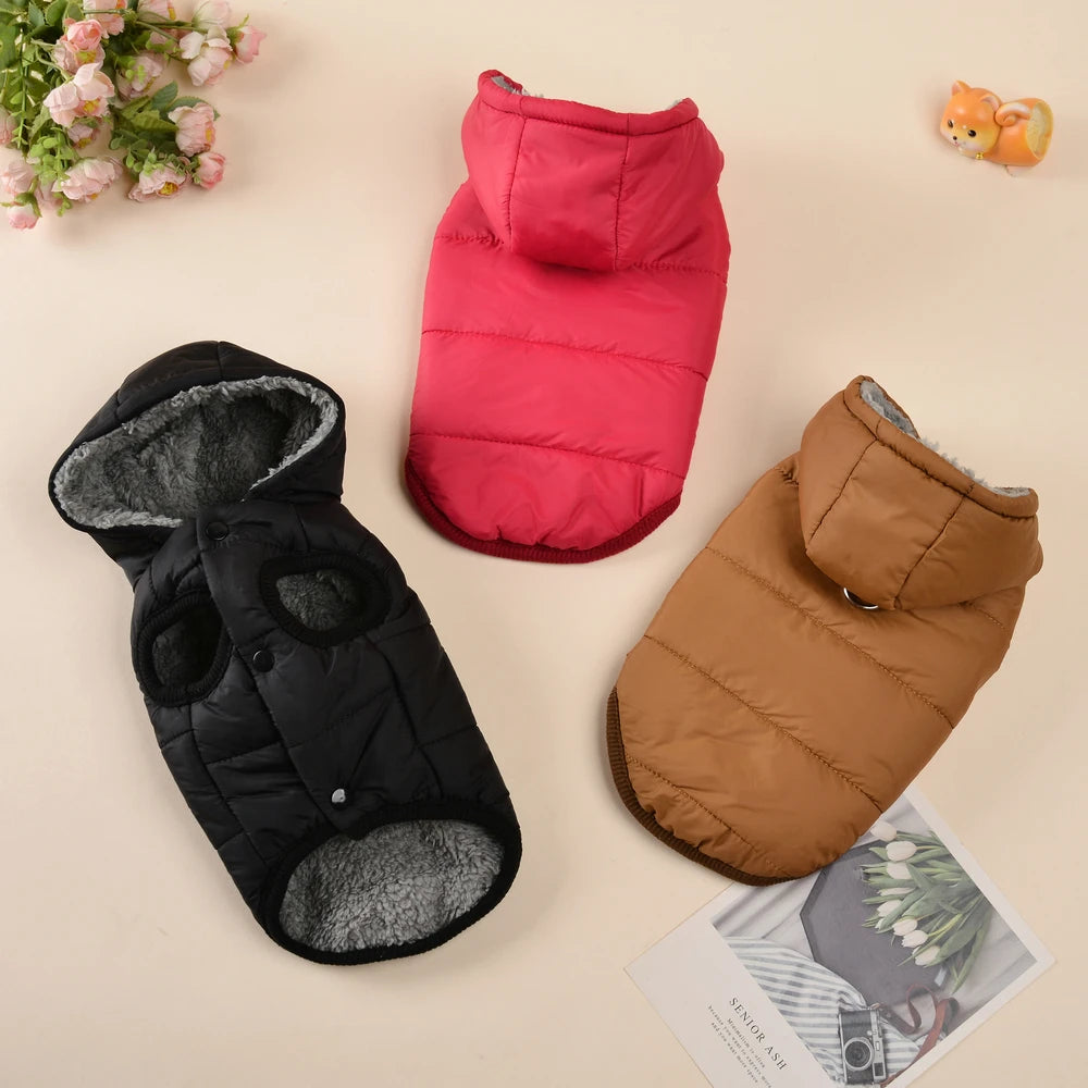 Windproof Cat Hoodie - Cozy Fleece Winter Jacket