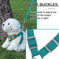 Step-In Dog Harness - Reflective Vest with Leash Set