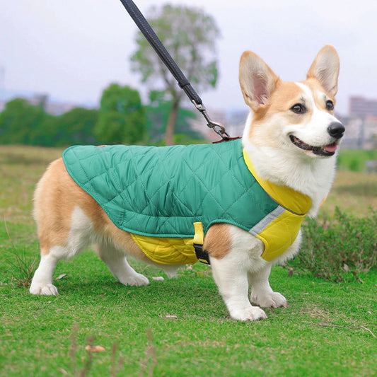 Waterproof Dog Vest - Padded Winter Jacket for All Sizes
