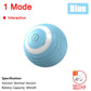 Interactive Rolling Ball - Rechargeable Mouse Tail Toy