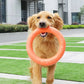 EVA Flying Disk - Interactive Dog Training Ring Toy