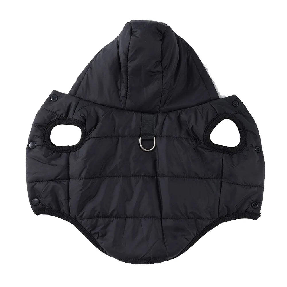 Windproof Cat Hoodie - Cozy Fleece Winter Jacket