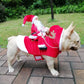 Santa Claus Christmas Pet Costume - Warm Holiday Outfit