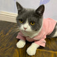 Christmas Cat Hoodie - Winter Sweatshirt Costume
