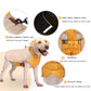 Waterproof Dog Vest - Padded Winter Jacket for All Sizes
