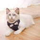 Cute Mesh Harness and Leash Set - Bowknot Design