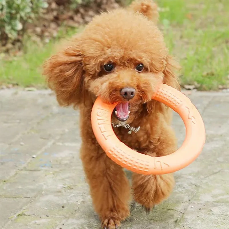 EVA Flying Disk - Interactive Dog Training Ring Toy