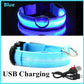 LED Luminous Dog Collar - USB Rechargeable Safety Collar