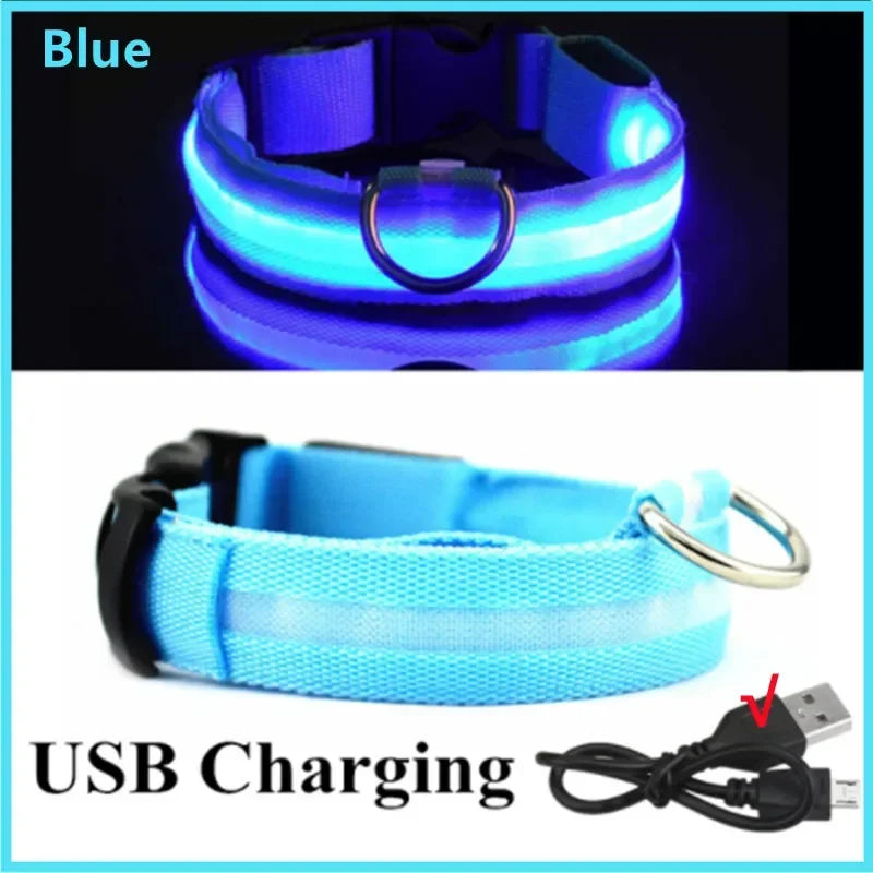 LED Luminous Dog Collar - USB Rechargeable Safety Collar