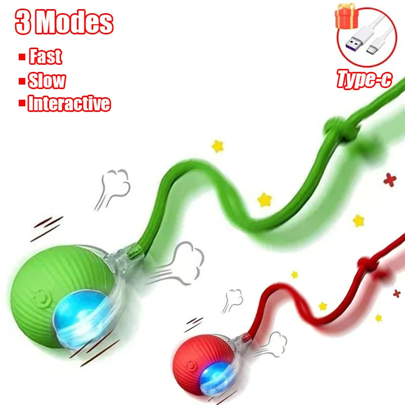 Interactive Rolling Ball - Rechargeable Mouse Tail Toy