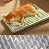 Orthopedic Dog Bed - Cervical Spine Support with Removable Cover