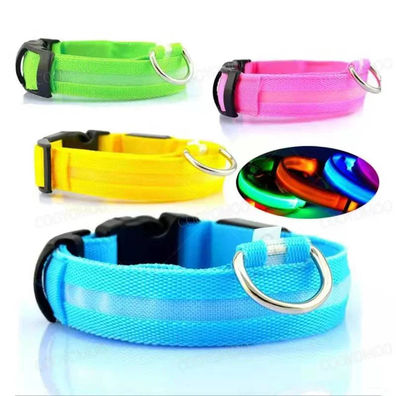LED Luminous Dog Collar - USB Rechargeable Safety Collar