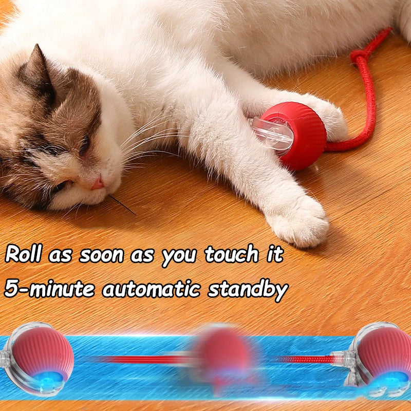 Interactive Rolling Ball - Rechargeable Mouse Tail Toy